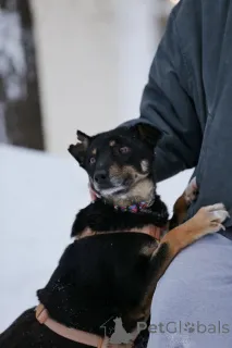 Дополнительные фото: Вива не помнящая зла 