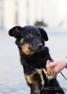 Фото №4. Продажа  в Санкт-Петербурге частное объявление - цена договорная