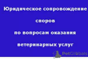 Фото №2 Услуга ветеринара в России. Цена договорная.  Объявление №13942