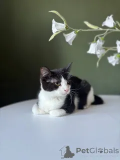 Фото №1.  - купить в Минске за Бесплатно. Объявление №166022