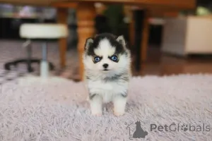 Фото №3. Дом декана Джанет Кей.  США