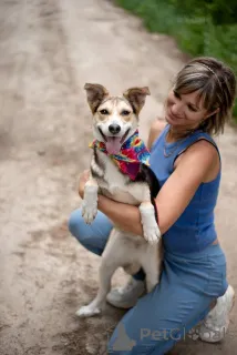 Фото №1. беспородная - купить в Москве реке за Бесплатно. Объявление №146015