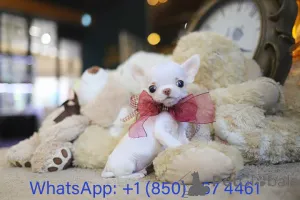 Фото №3. Дом декана Джанет Кей.  США