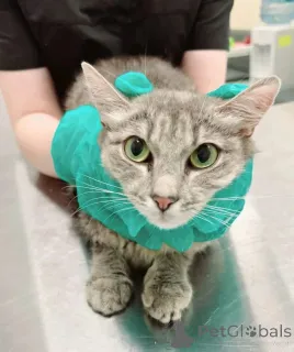 Фото №4. Продам  в Москве реке частное объявление - цена Бесплатно