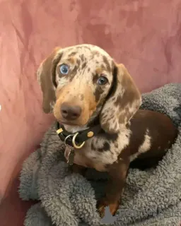 Фото №4. Продажа  в Мадрид  - цена договорная