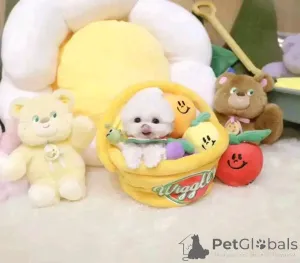 Фото №4. Продажа  в Кливленд  - цена договорная