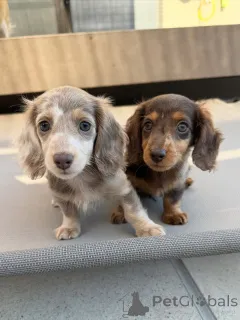 Фото №1.  - купить в Хельсинки за 46384₽. Объявление №164020