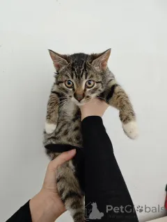 Фото №1.  - купить в Москве реке за Бесплатно. Объявление №159964