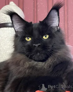 Дополнительные фото: Ни одна гора не слишком высока, ни слишком маленькое объятие, Джаспер покоряет