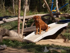 Дополнительные фото: Квитанция в сентябре 2025 г. Объявление о мусоре