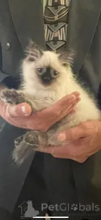 Фото №3. Так очаровательно. Испания