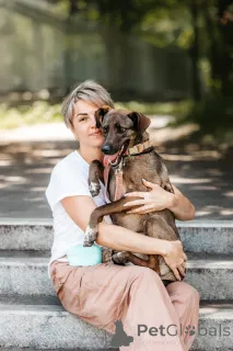 Дополнительные фото: Стася ищет дом и сердце, в котором она снова будет нужной.