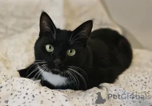 Фото №1.  - купить в Минске за Бесплатно. Объявление №157452