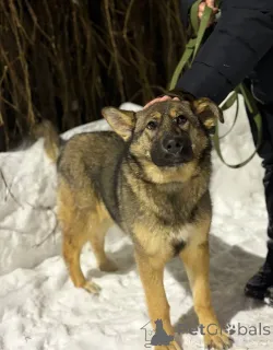 Фото №1.  - купить в Москве реке за Бесплатно. Объявление №165691