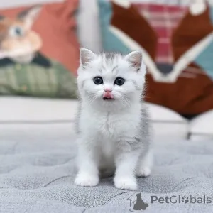 Фото №2 к объявлению №163613 о продаже  - купить в Испании 