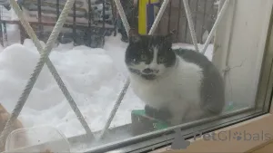 Фото №4. Продам  в Москве реке частное объявление - цена Бесплатно