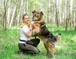 Дополнительные фото: Ласка - ласковая, добрая, нежная девочка! Ищет семью