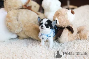 Фото №3. Дом декана Джанет Кей.  США