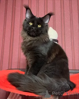 Дополнительные фото: Ни одна гора не слишком высока, ни слишком маленькое объятие, Джаспер покоряет