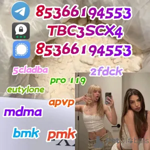 Фото №1.  - купить в Лидкомб за Бесплатно. Объявление №141063