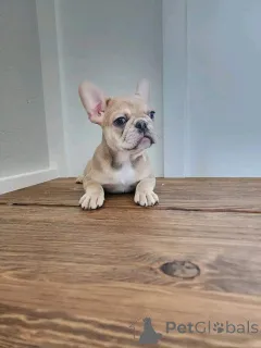 Фото №4. Продажа  в Хинтон  - цена 67401₽