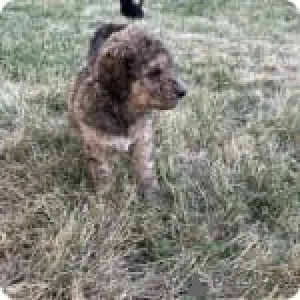 Дополнительные фото: Алда