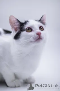 Дополнительные фото: Очаровательная Принцесса в дар!