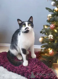 Фото №1.  - купить в Москве реке за Бесплатно. Объявление №161657