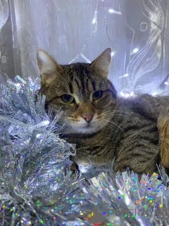 Фото №1.  - купить в Москве реке за Бесплатно. Объявление №160730