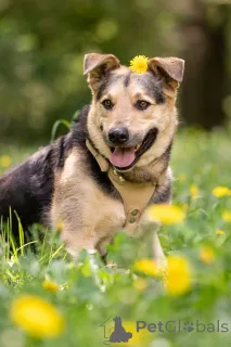 Дополнительные фото: Барри ищет своего человека!