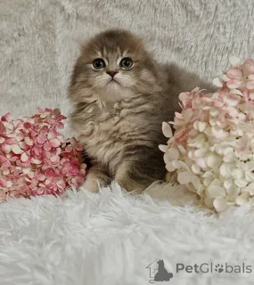 Дополнительные фото: Екатерина