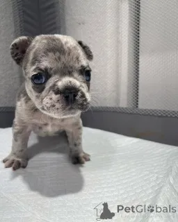 Фото №4. Продажа  в Техас  - цена договорная