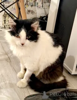 Фото №4. Продам  в Минске частное объявление - цена Бесплатно