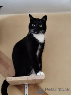 Фото №1.  - купить в Минске за Бесплатно. Объявление №157486