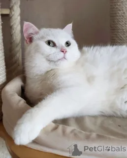 Фото №1.  - купить в Москве реке за Бесплатно. Объявление №163544