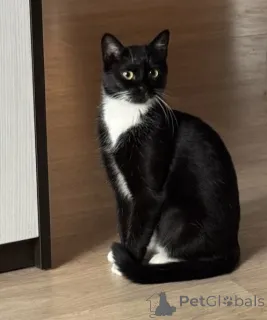 Фото №1.  - купить в Минске за Бесплатно. Объявление №157486