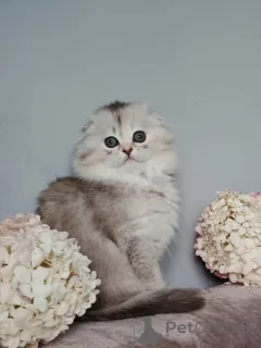 Фото №3. Екатерина. Россия