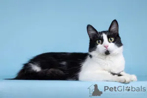 Фото №1.  - купить в Москве реке за Бесплатно. Объявление №162710