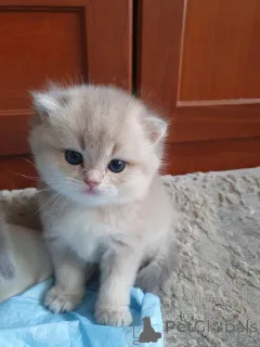 Фото №3. Юлия Владимировна Фонарева. Россия