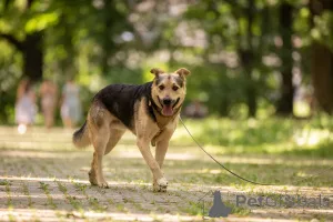 Дополнительные фото: Барри ищет своего человека!