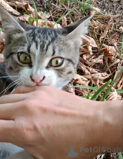 Фото №4. Продам  в Москве реке  - цена Бесплатно