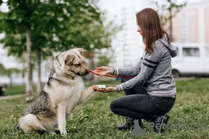 Дополнительные фото: Ищет дом плюшевый медвежонок Бэйли!