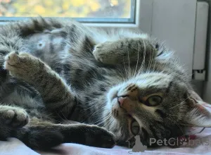 Фото №1.  - купить в Химках за Бесплатно. Объявление №156956