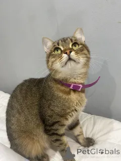 Фото №4. Продам  в Москве реке частное объявление - цена Бесплатно