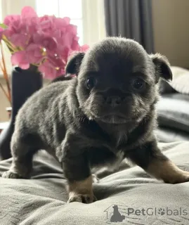 Фото №1.  - купить в Grevesmühlen за 26902₽. Объявление №167681