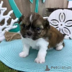 Фото №4. Продажа  в Фредериксборг  - цена 44934₽