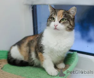 Фото №1.  - купить в Москве реке за Бесплатно. Объявление №147636