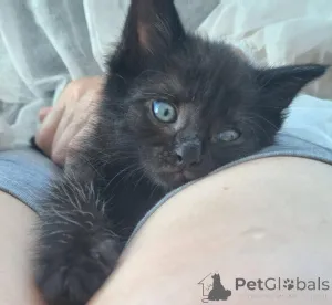 Фото №1.  - купить в Москве реке за Бесплатно. Объявление №146283