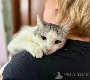 Фото №4. Продам  в Москве реке частное объявление - цена Бесплатно