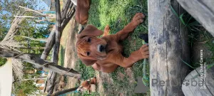 Дополнительные фото: Квитанция в сентябре 2025 г. Объявление о мусоре